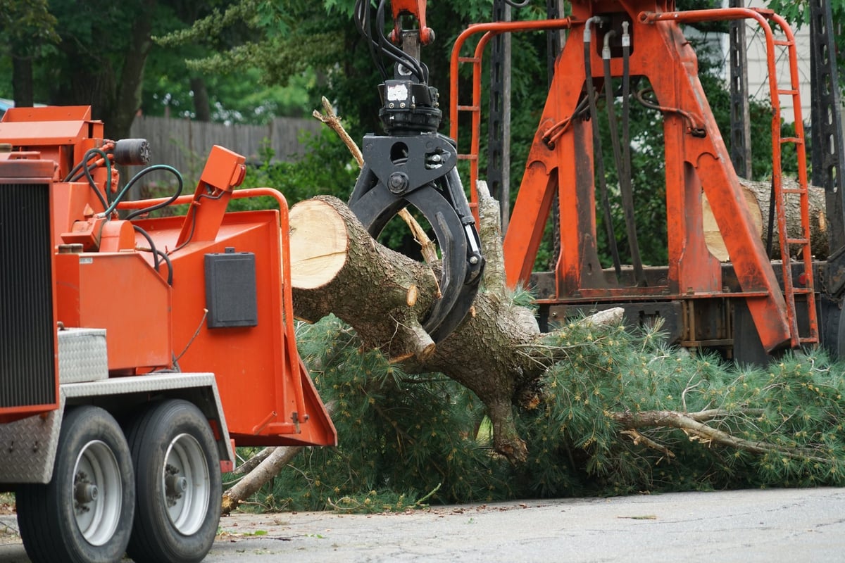 Crane lifting a removed tree trunk in a residential area
