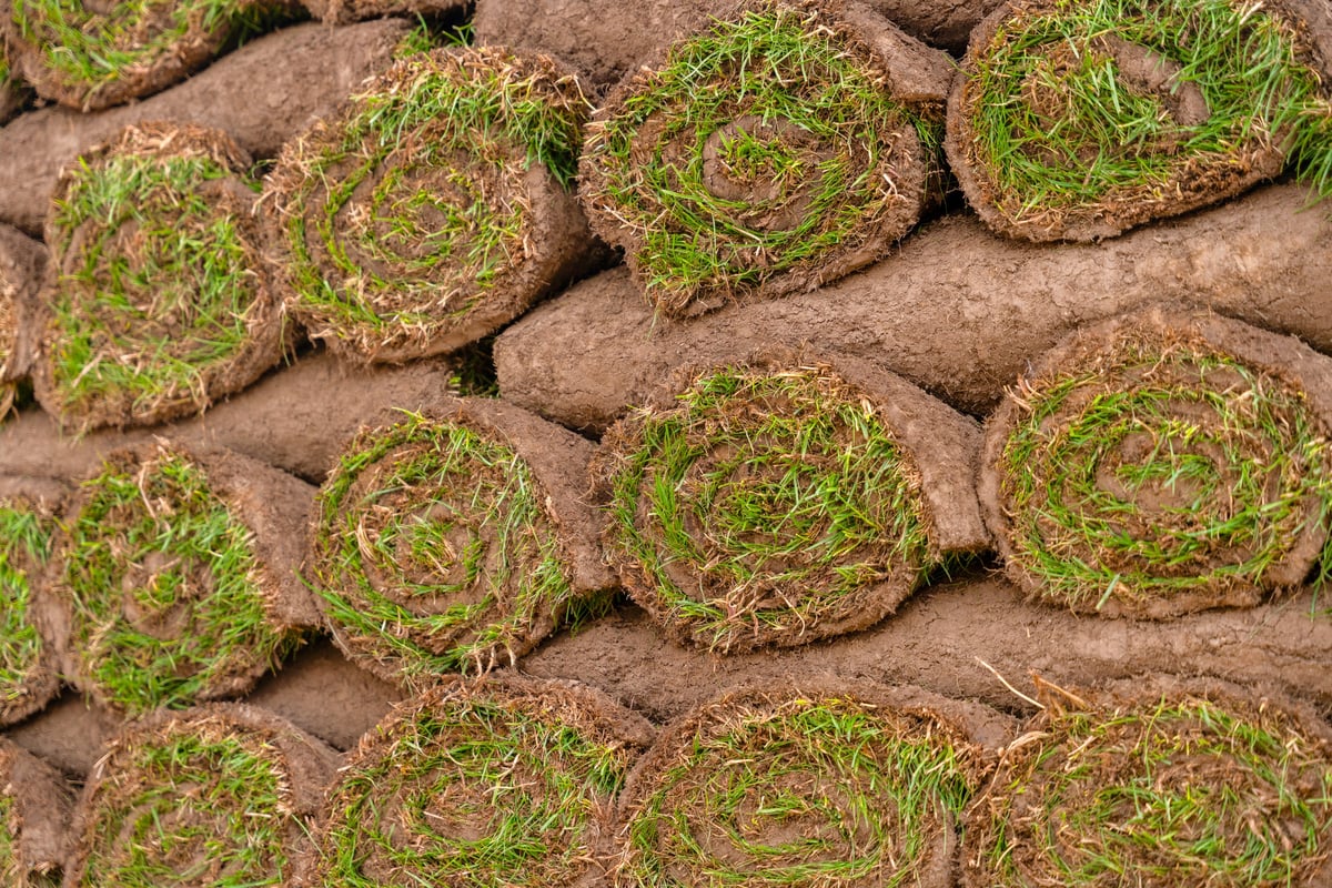 Grass sod rolls stacked neatly in a field ready for installation